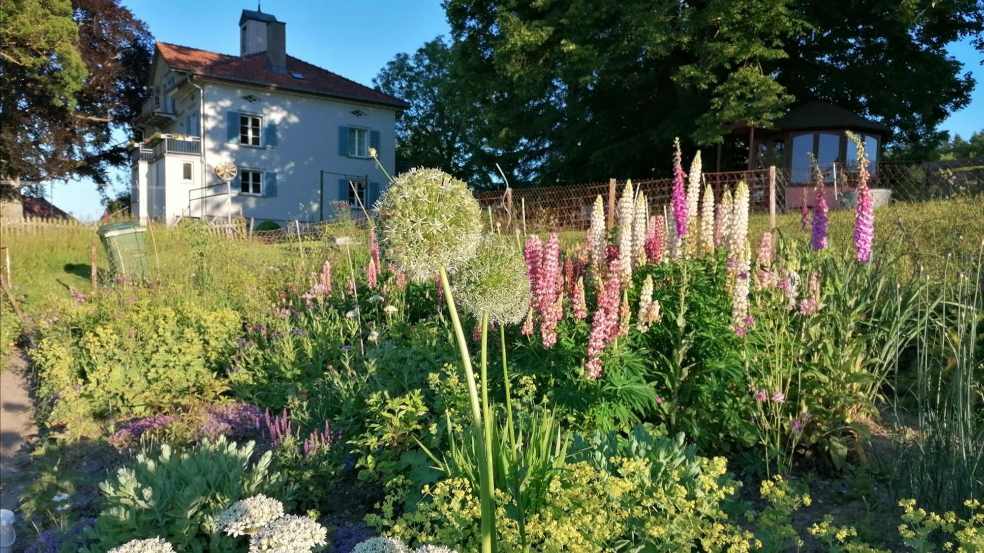 Seesicht Und Charmante Wohnung Bei Hanni Und Ueli Bottighofen Exterior foto